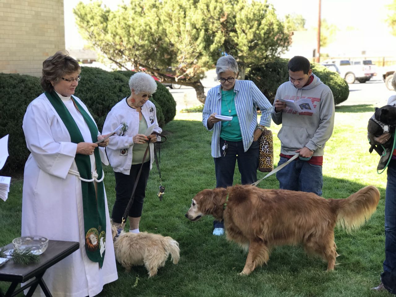 Dylan the golden retriever at pet blessing 2017.jpg