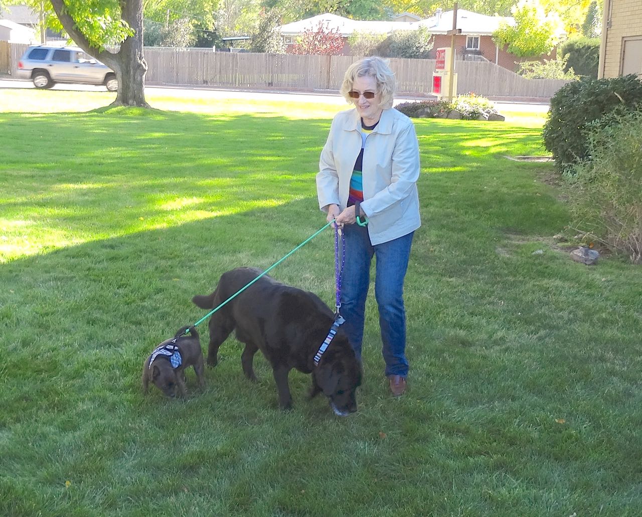 Cathy Demming at pet blessing 2017.jpg