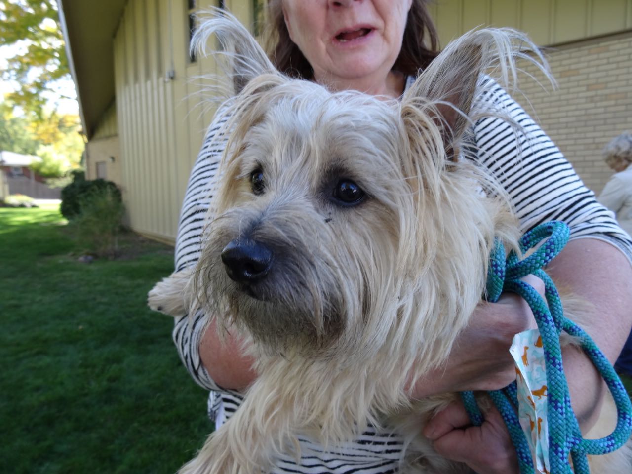 Taggart Jones at pet blessing 2017.jpg