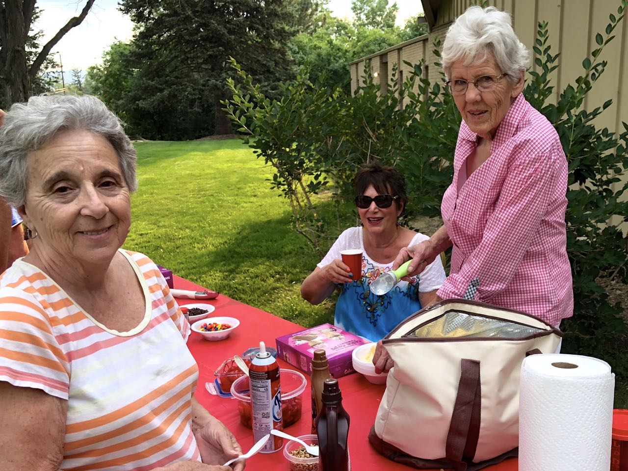 Joann Hamm, Susan Clemons and Carol Cozart.jpg