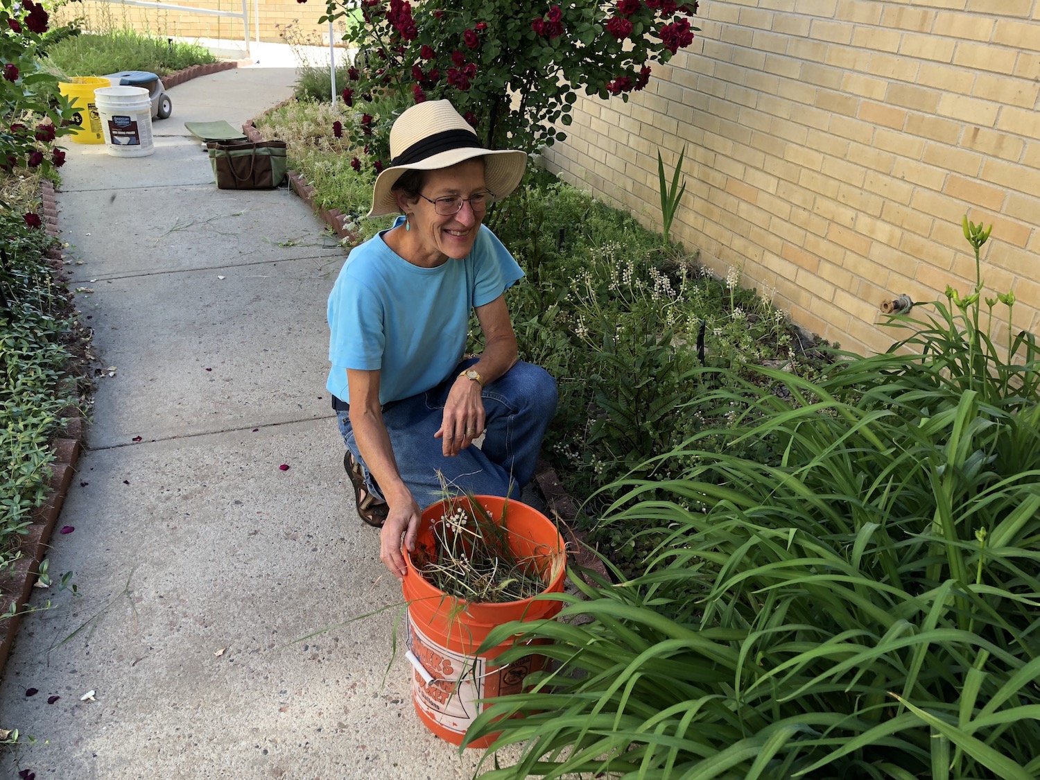 Sharon Kestrel weeding.JPG