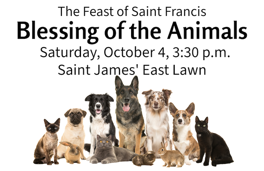 Blessing of the animals poster.png