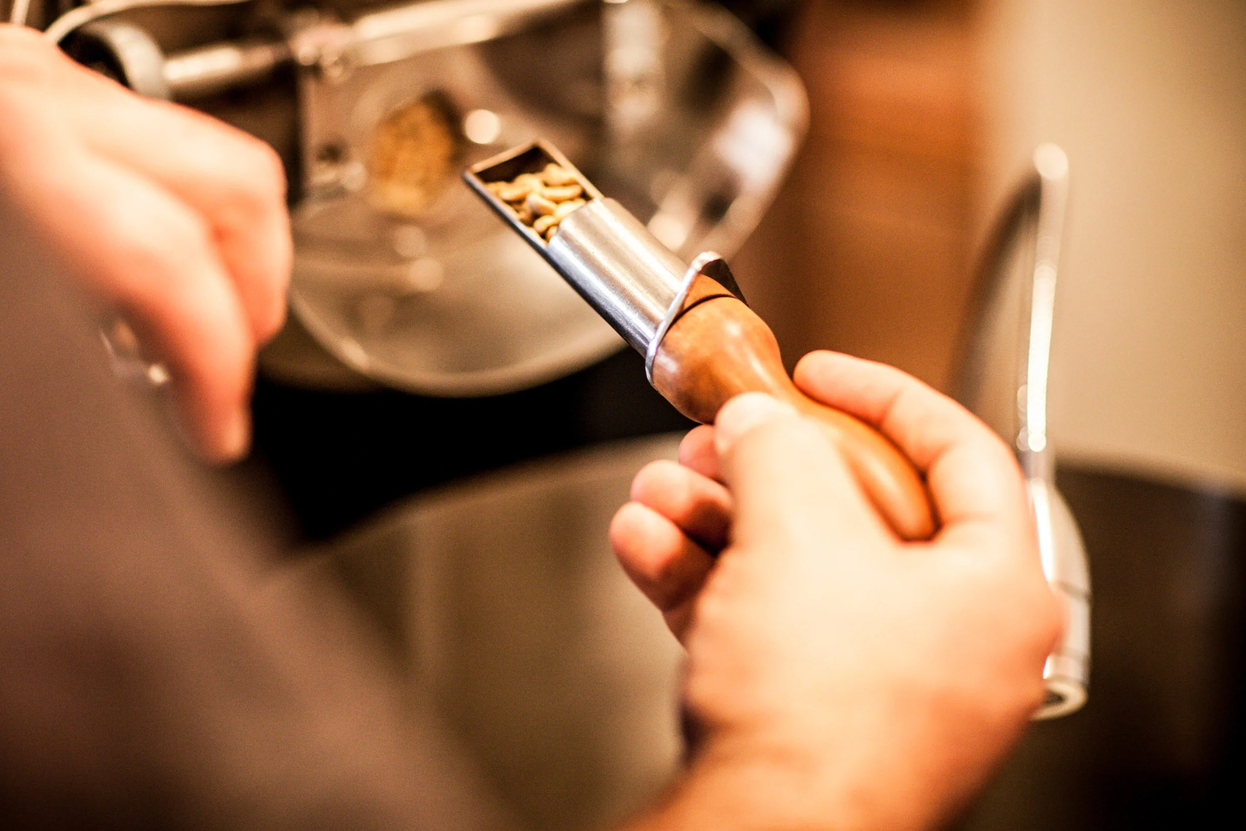 visualizing the roasting process