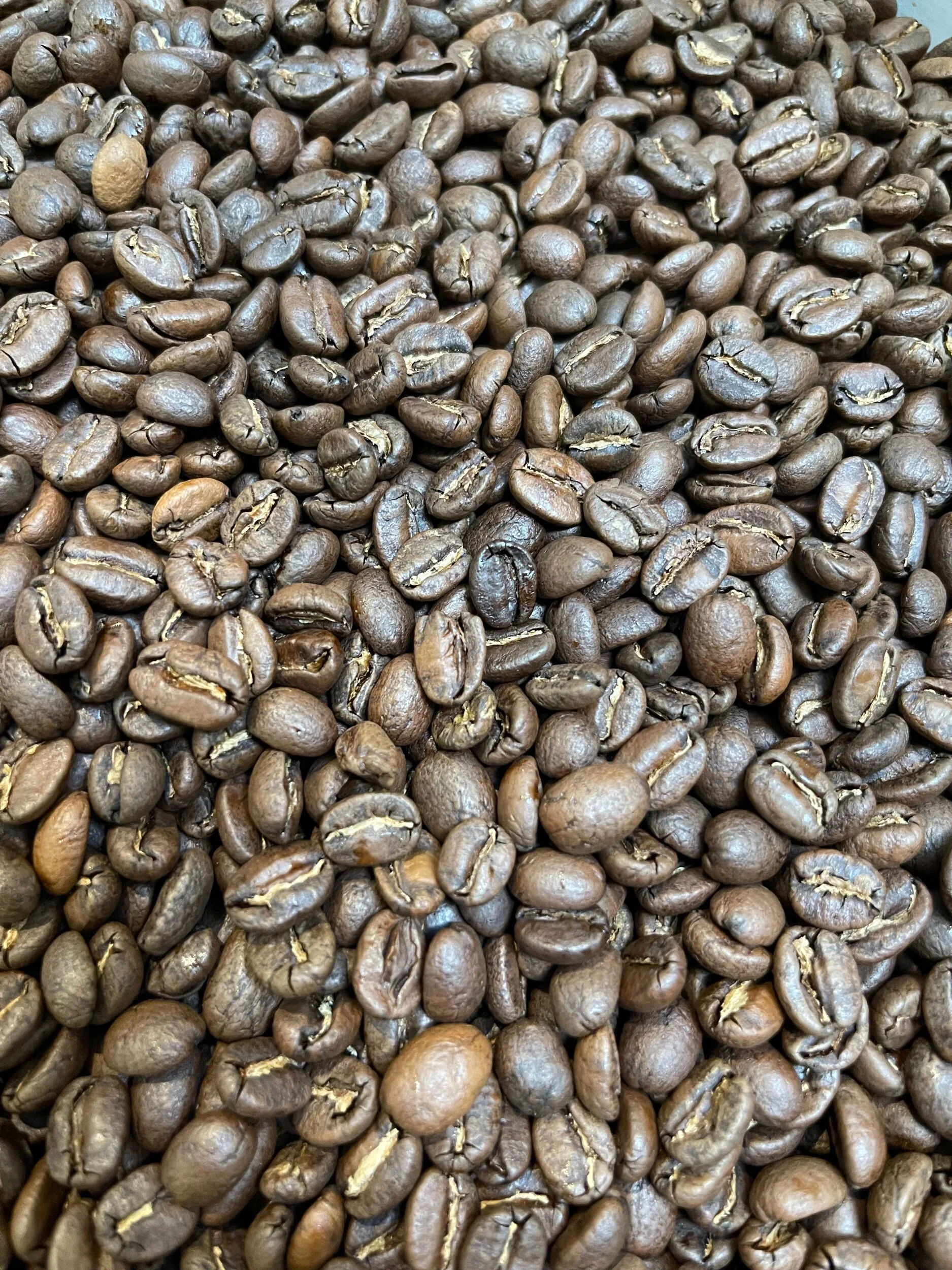 2C11AF6A-E845-41D9-9FC0-0970AF6274F0