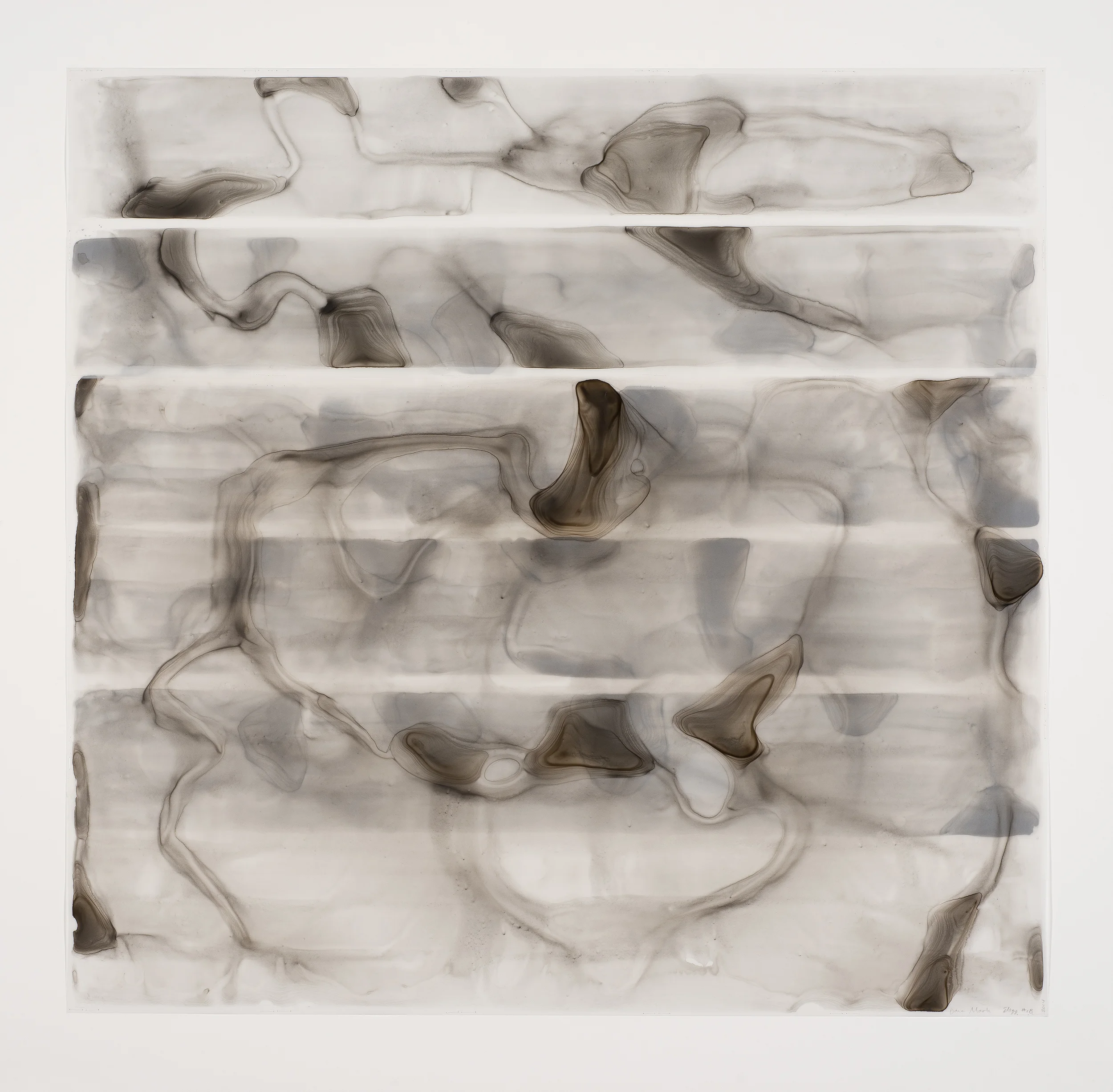 Elegy #18