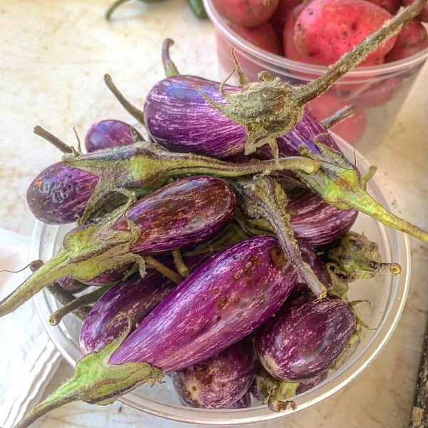 How to Cook Eggplant Two Recipes — Cookin' with Kibby