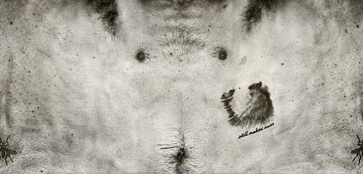 Picture 2.png