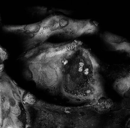5. Untitled #3, 2001.jpg