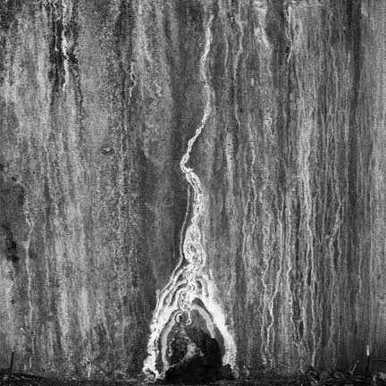 13. Untitled #10.jpg