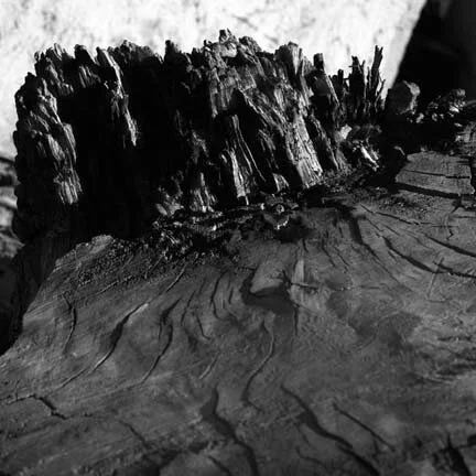 19. Stok Landscape.jpg