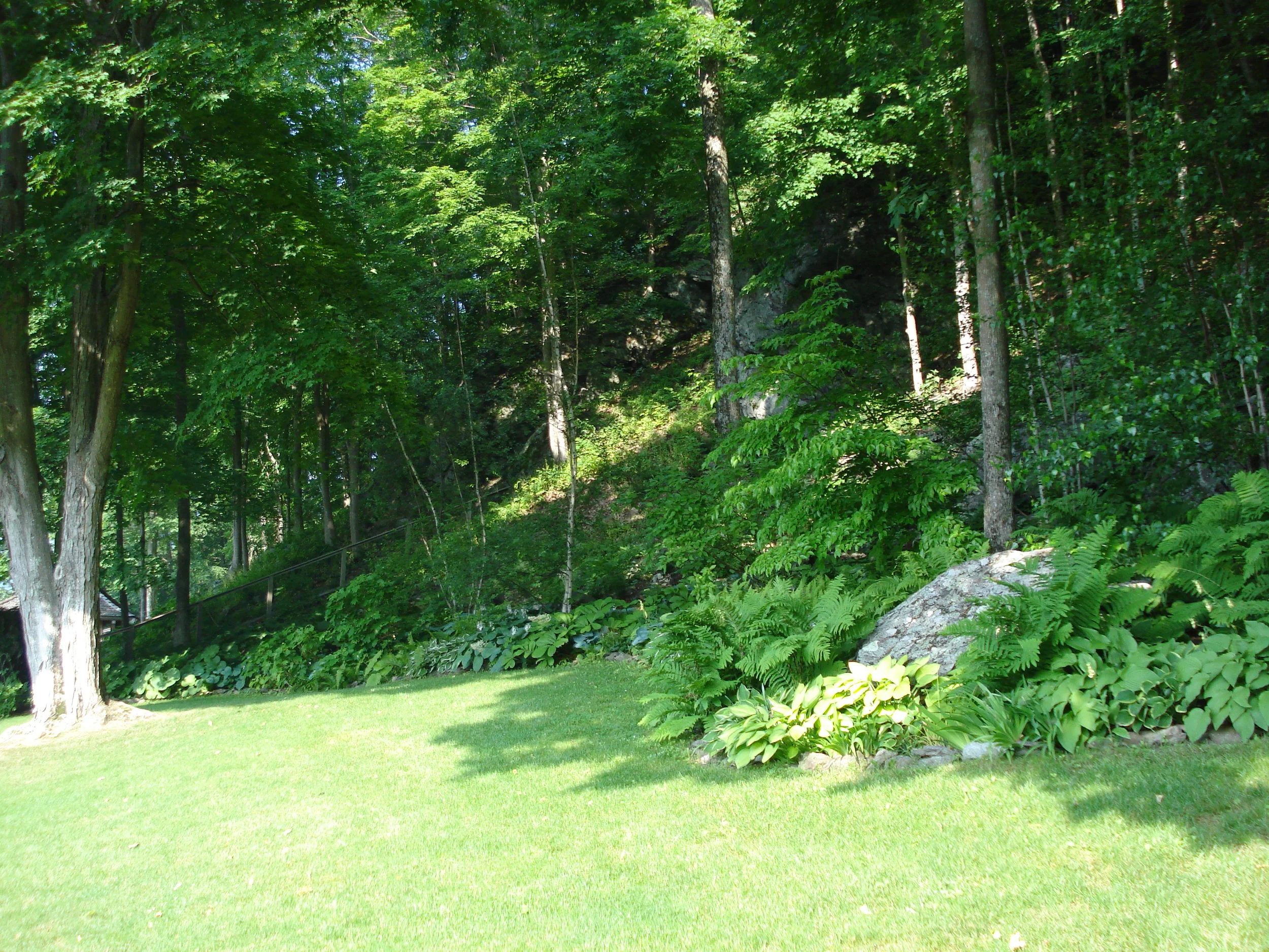 DSC00037.JPG
