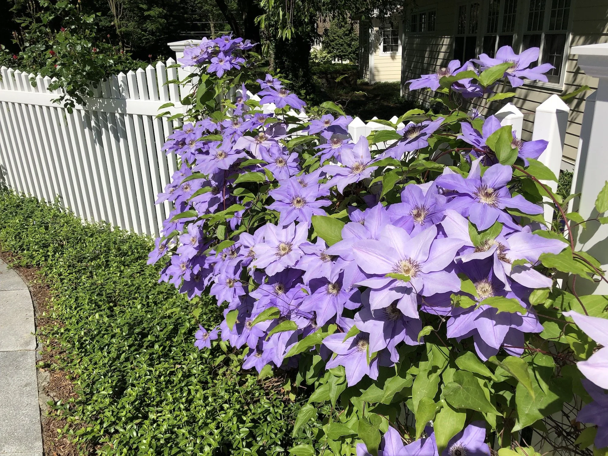 IMG_8152.jpeg