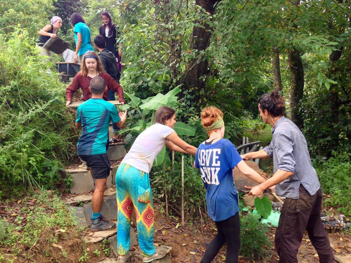 Volunteers helped reopen camp with some restoration projects! Here they are passing large rocks to repair a few of our stairs in camp. 