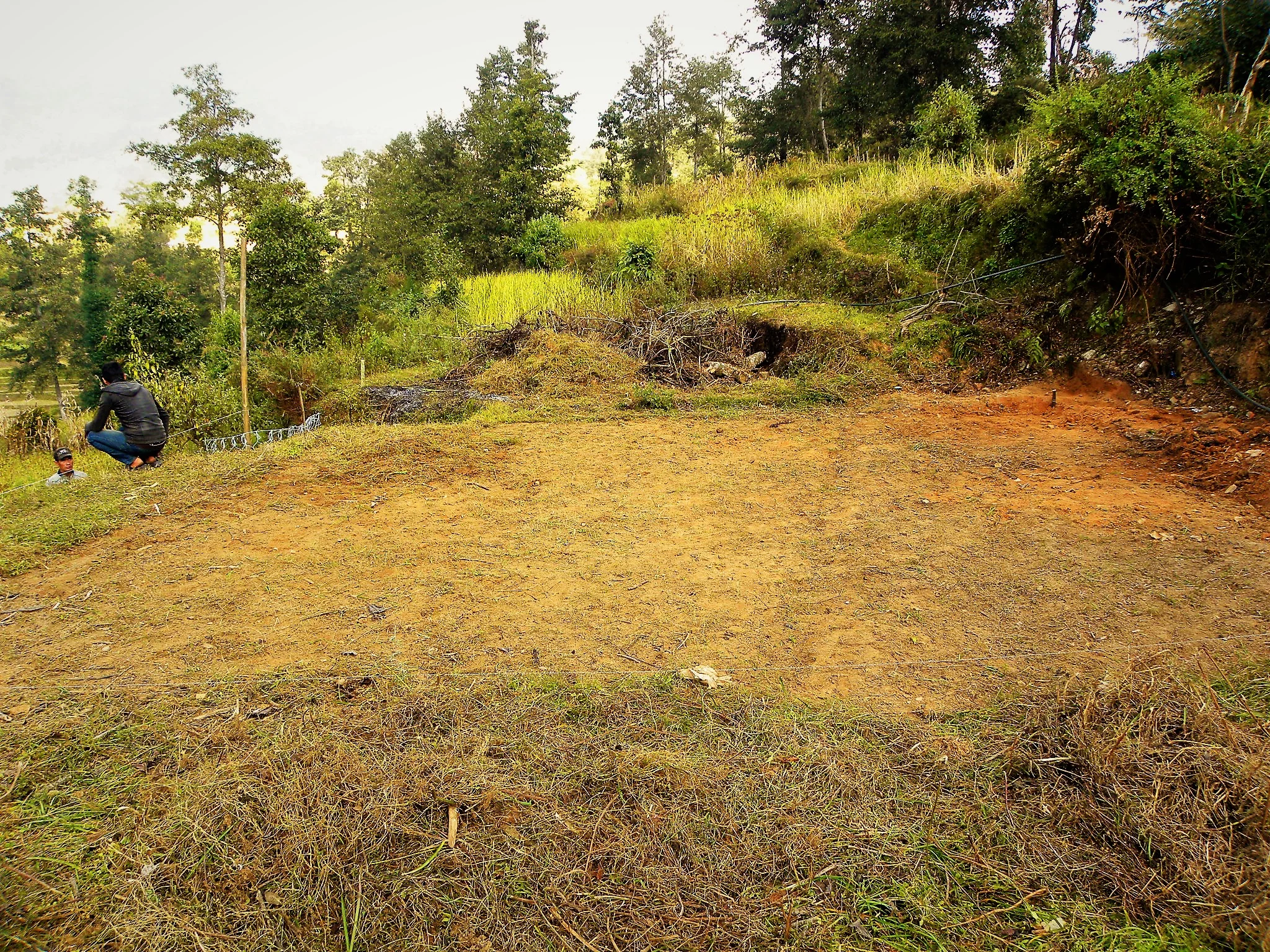 Day 2: Clearing the land.