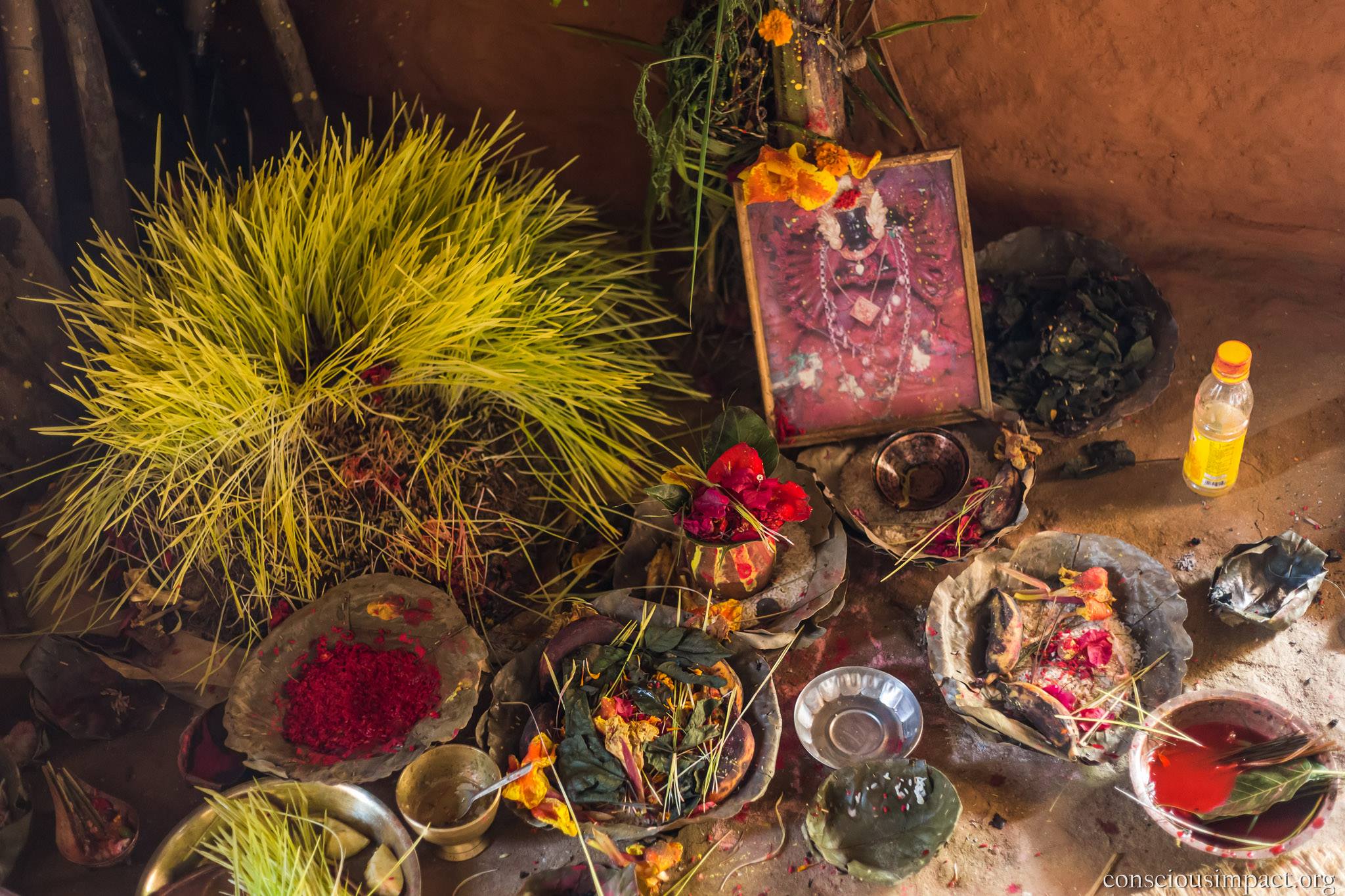 Festival Season in Takure