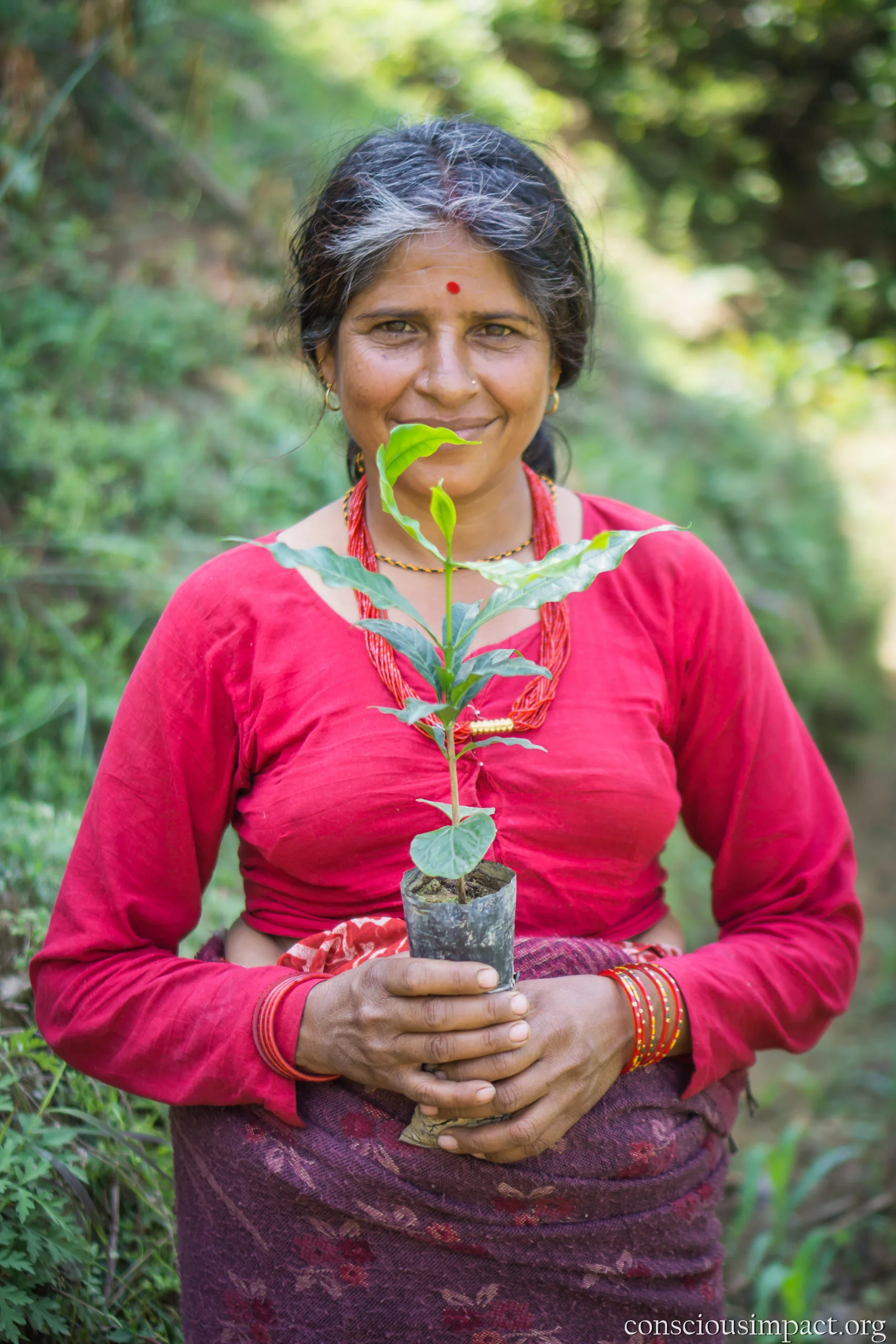 "I'm excited to plant coffee because small worms destroy corn and millet. It is much easier to plant coffee." - "Bal Kumari Dahal