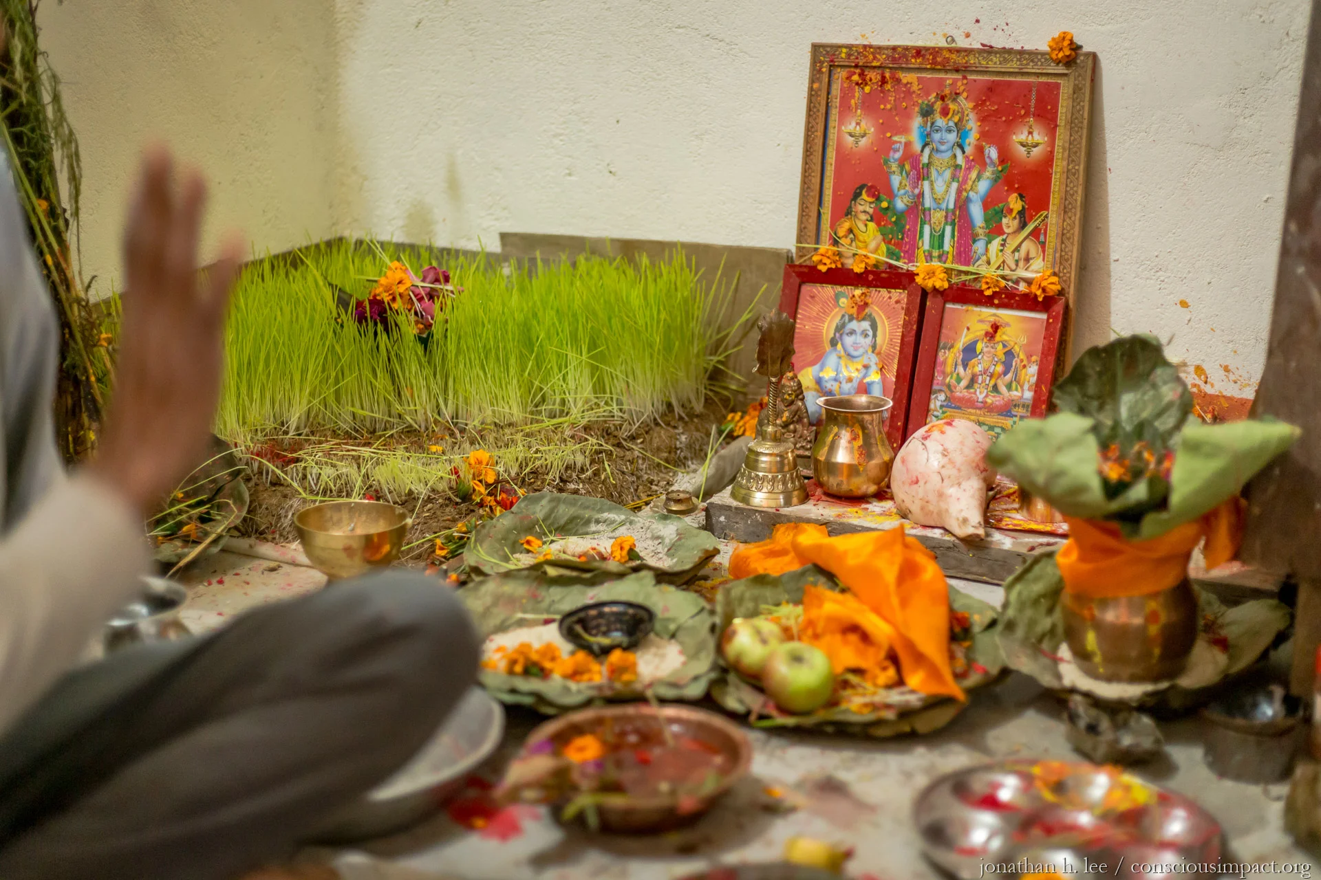 Deshian Dashain Festival Celebrations — Conscious Impact