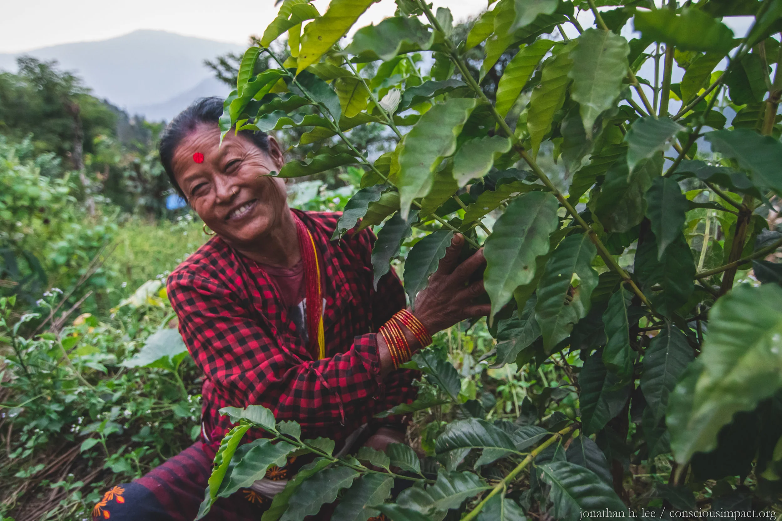 Sano Kanchi Rana Magar is a resident of Takure and one of Nepal’s newest coffee farmers. Two years ago, she planted organic coffee saplings from Conscious Impact’s greenhouse, and she hopes that this year she will get her first big harvest! Photo by Jonathan H. Lee
