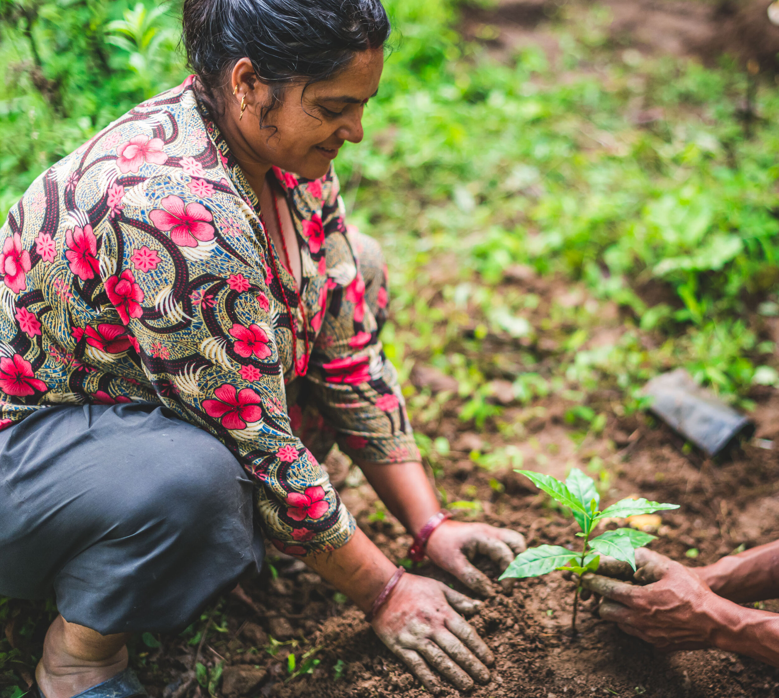 Bimire_Coffee_Planting-32.jpg