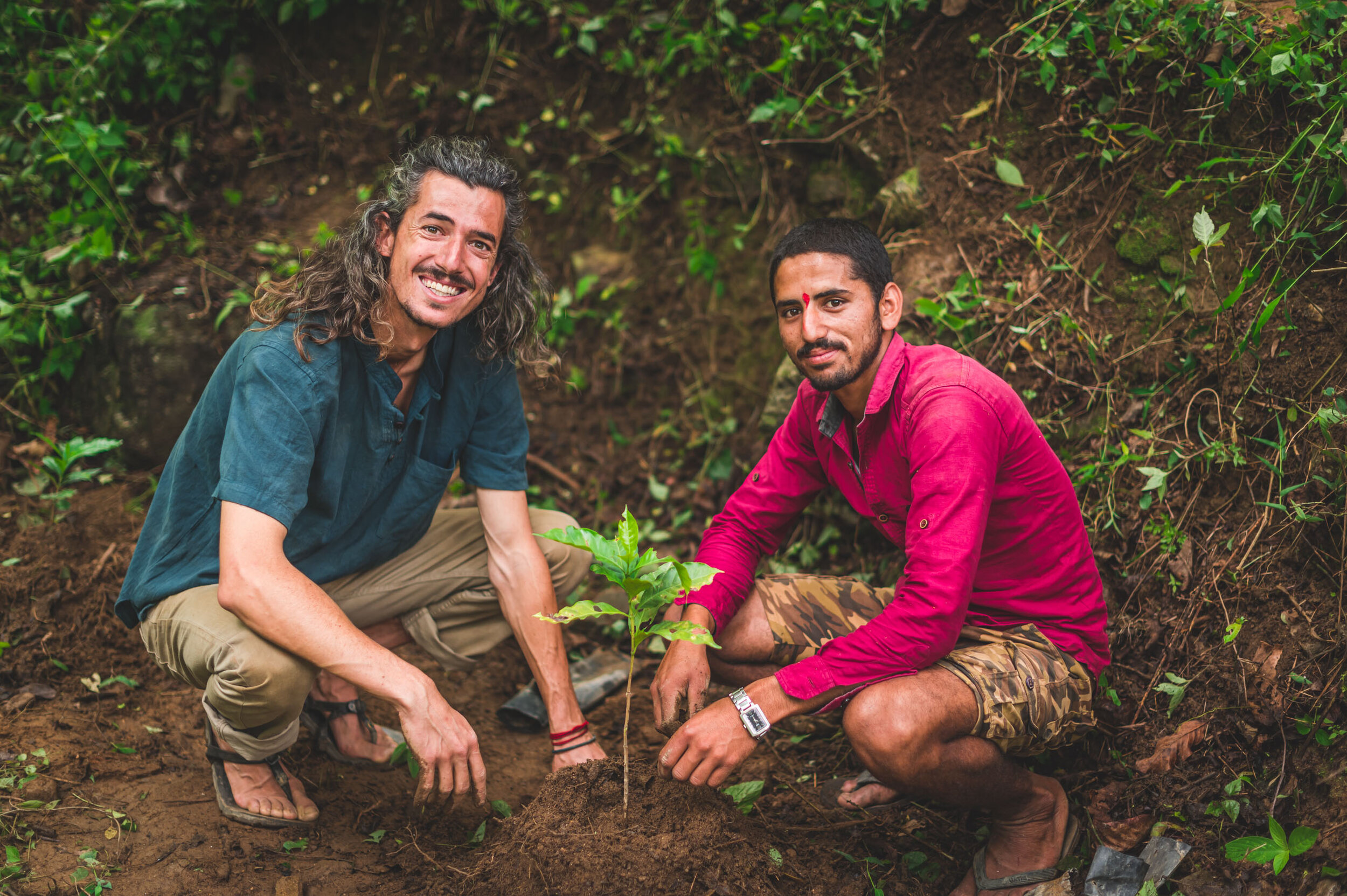 Coffee_Planting_2020-06-04-30.jpg