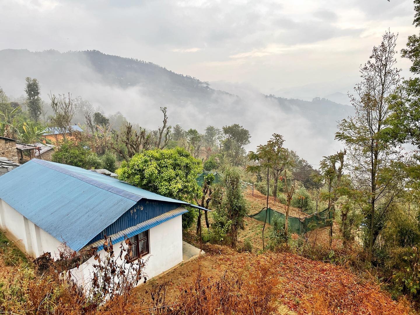 The clouds have rolled in along with the rains 🌧 here in the foothills of Nepal, bringing cooler days, clean air and beautiful views 🏔 ⛅️ 

The farmers are grateful for the water on their lands, and the birds are enjoying fresh food as they start m