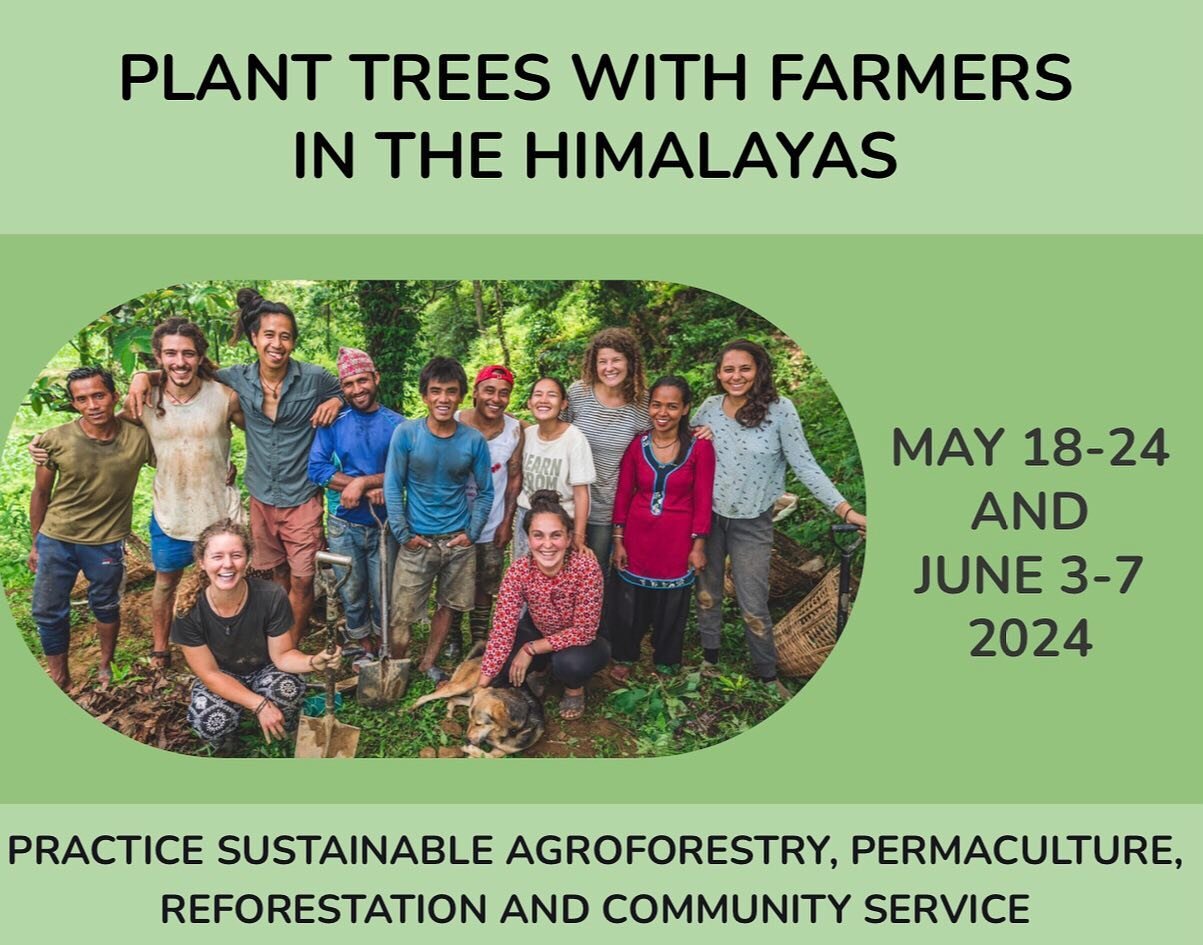 Come plant trees with us! 🌲🌳 

Join us in the Himalayas this May and June to help farmers plant coffee, citrus and forest trees. We will support them to carry compost, dig holes, gather mulch and plant each tree. Our goal is to reforest the region 