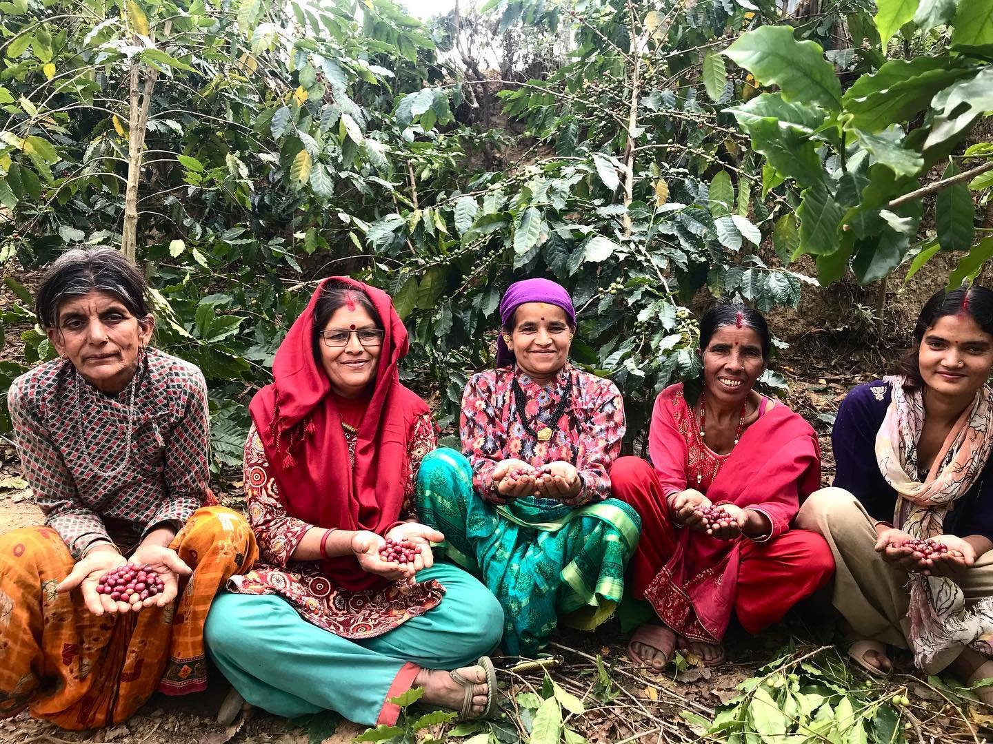 Coffee, coffee, coffee! 🌳 ☕️ 

We believe in the value of high quality, organic Nepali coffee to provide income to farmers and support the reforestation of the Himalayan foothills.

That&rsquo;s why we offer trainings to local farmers in tree care, 