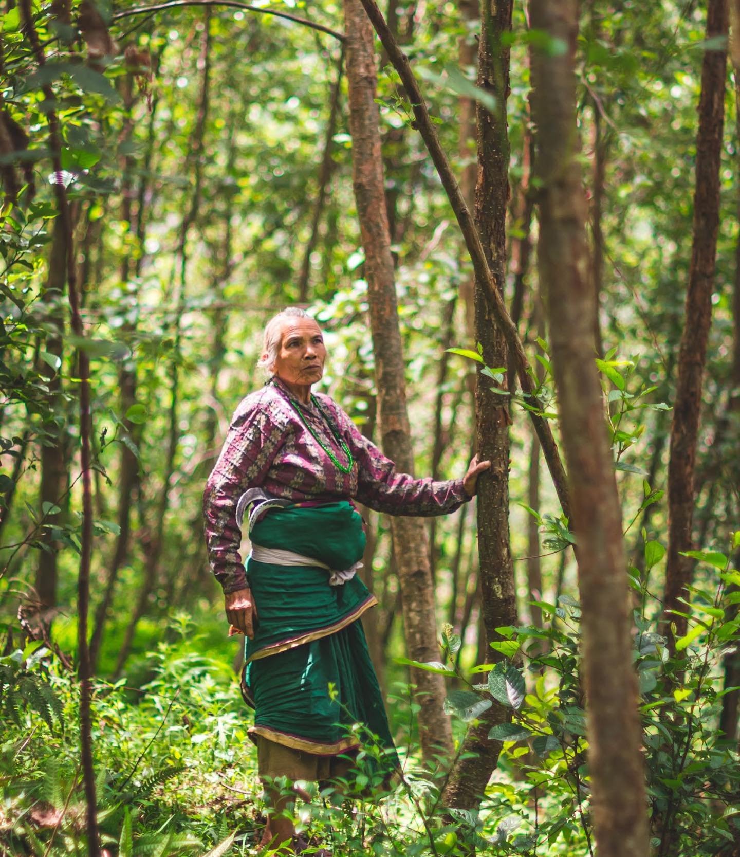 Goma Ama&rsquo;s Coffee Farm 🌱 🌳 

This month, we are getting to know our partner coffee farmers, and we start with the sweetest farmer, Goma Ama. &ldquo;Ama&rdquo; means mother in Nepali, and at 72 years old, Goma is a mother to us all and one of 