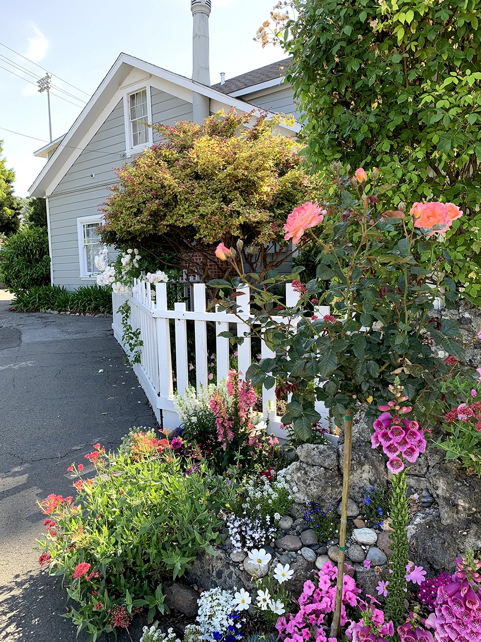 Exterior: front gardens