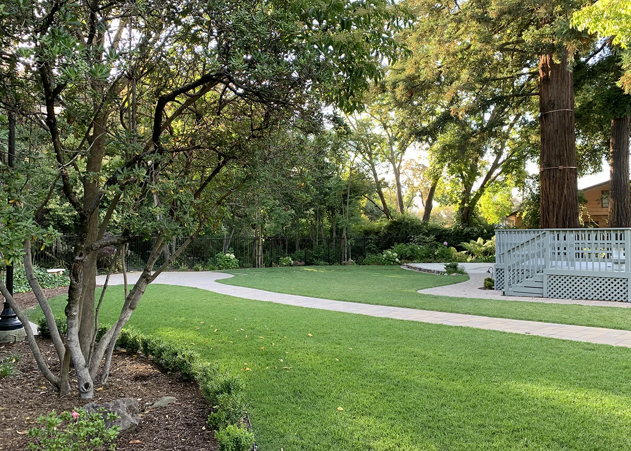 Exterior_back grassarea.jpg
