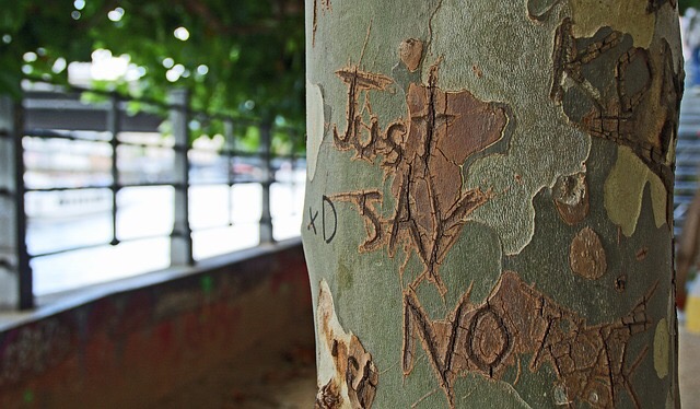 J ust Say No! 