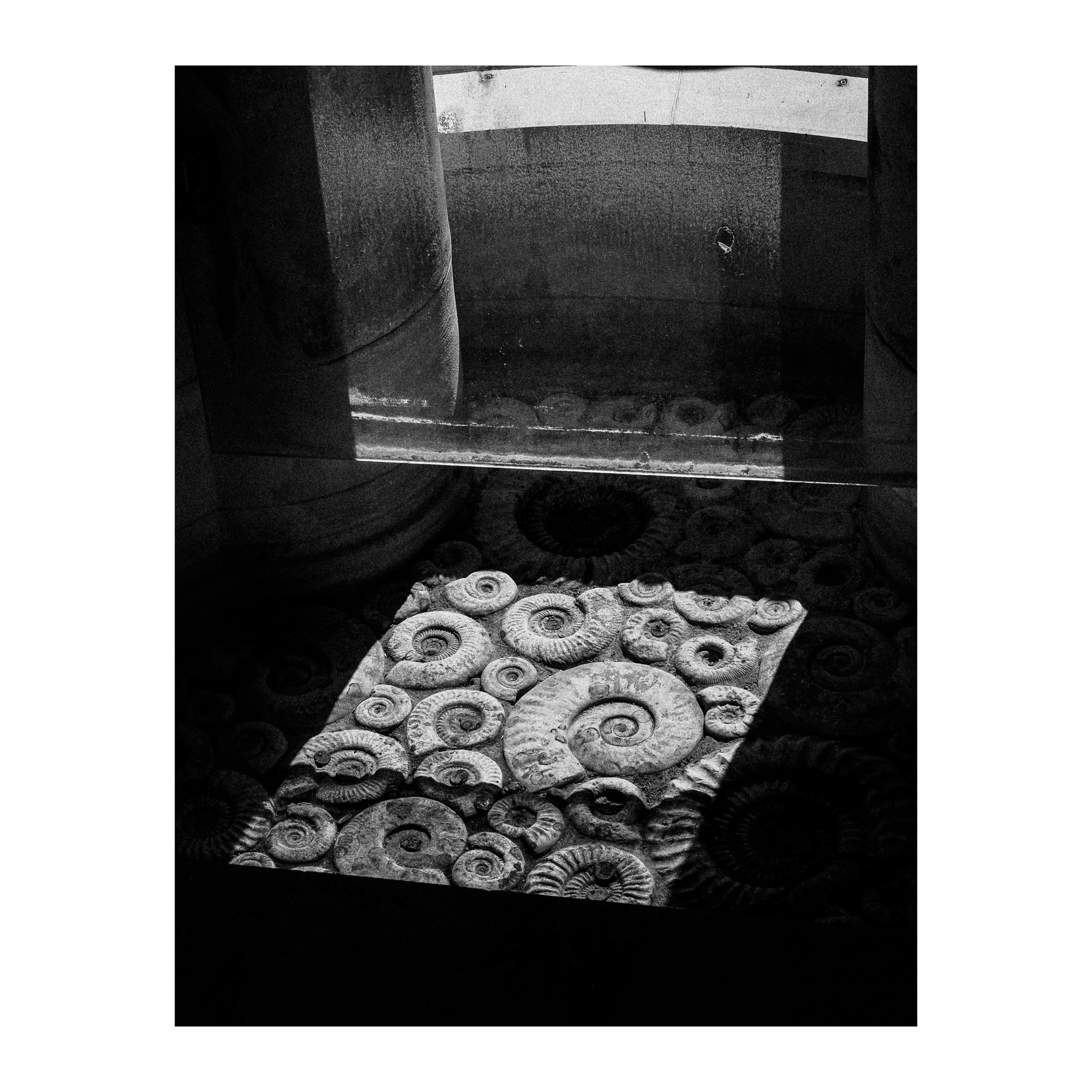Whitagram-Image.jpeg