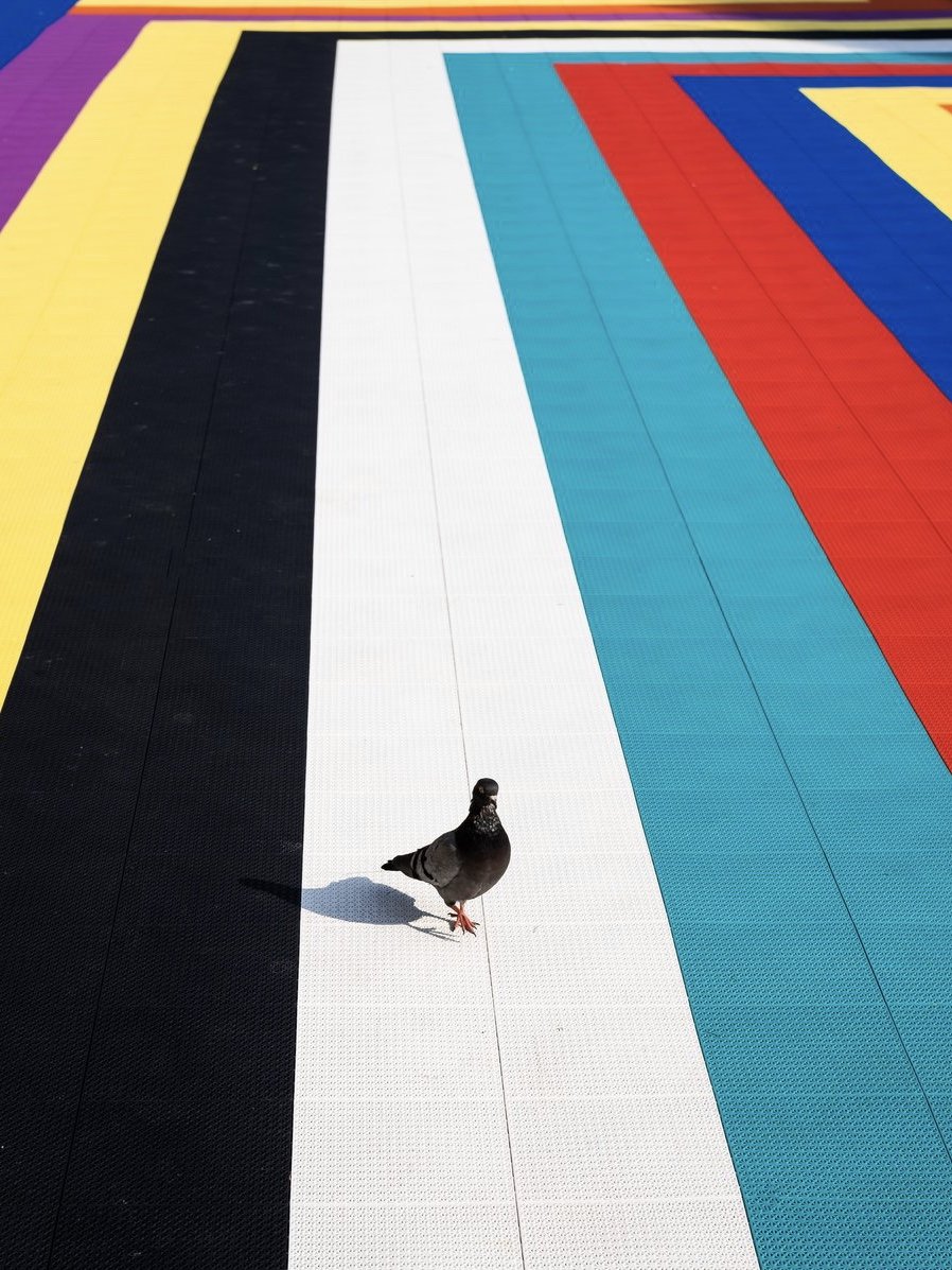 Walk+The+Line.jpg