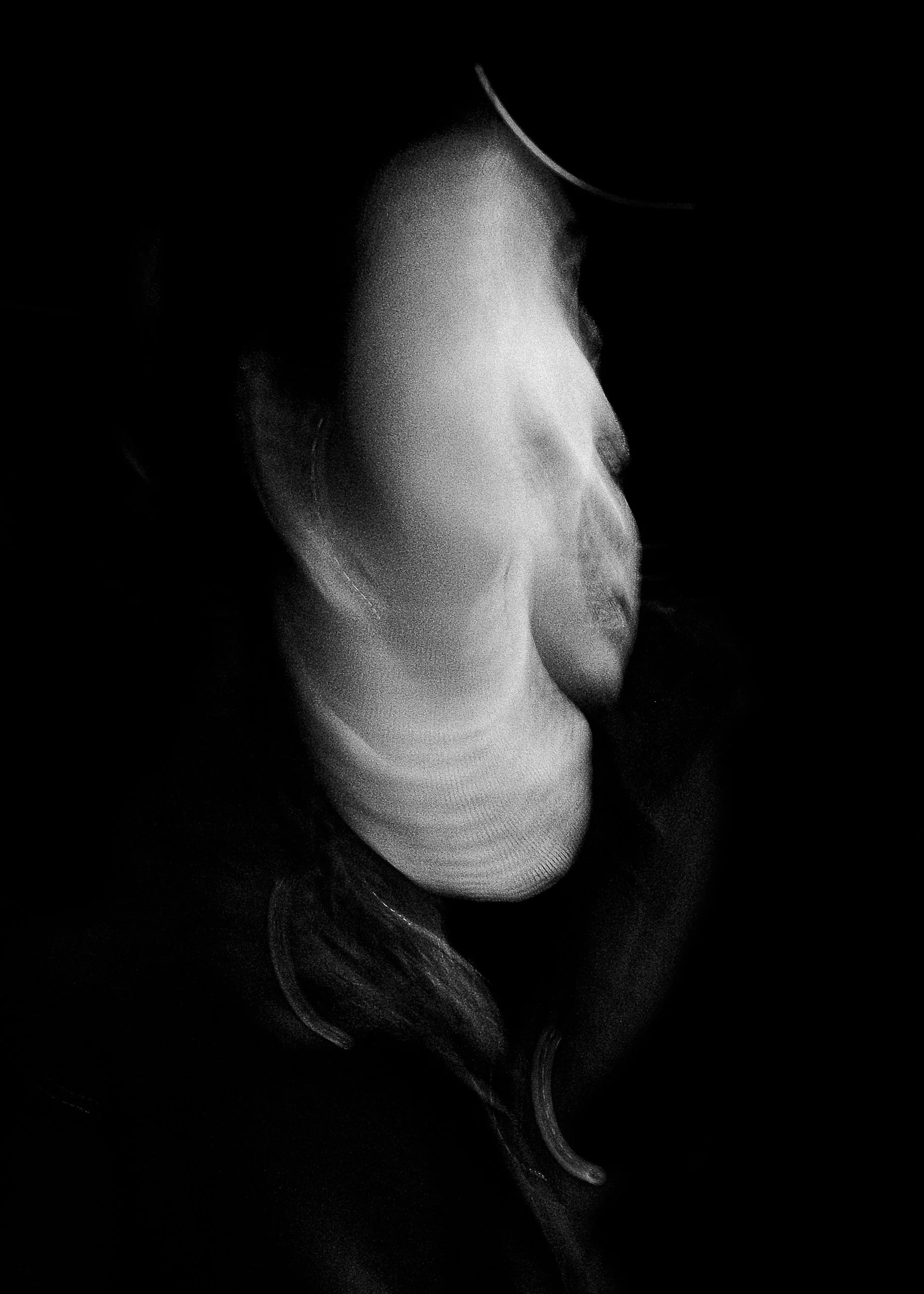 _DSF6488.jpg
