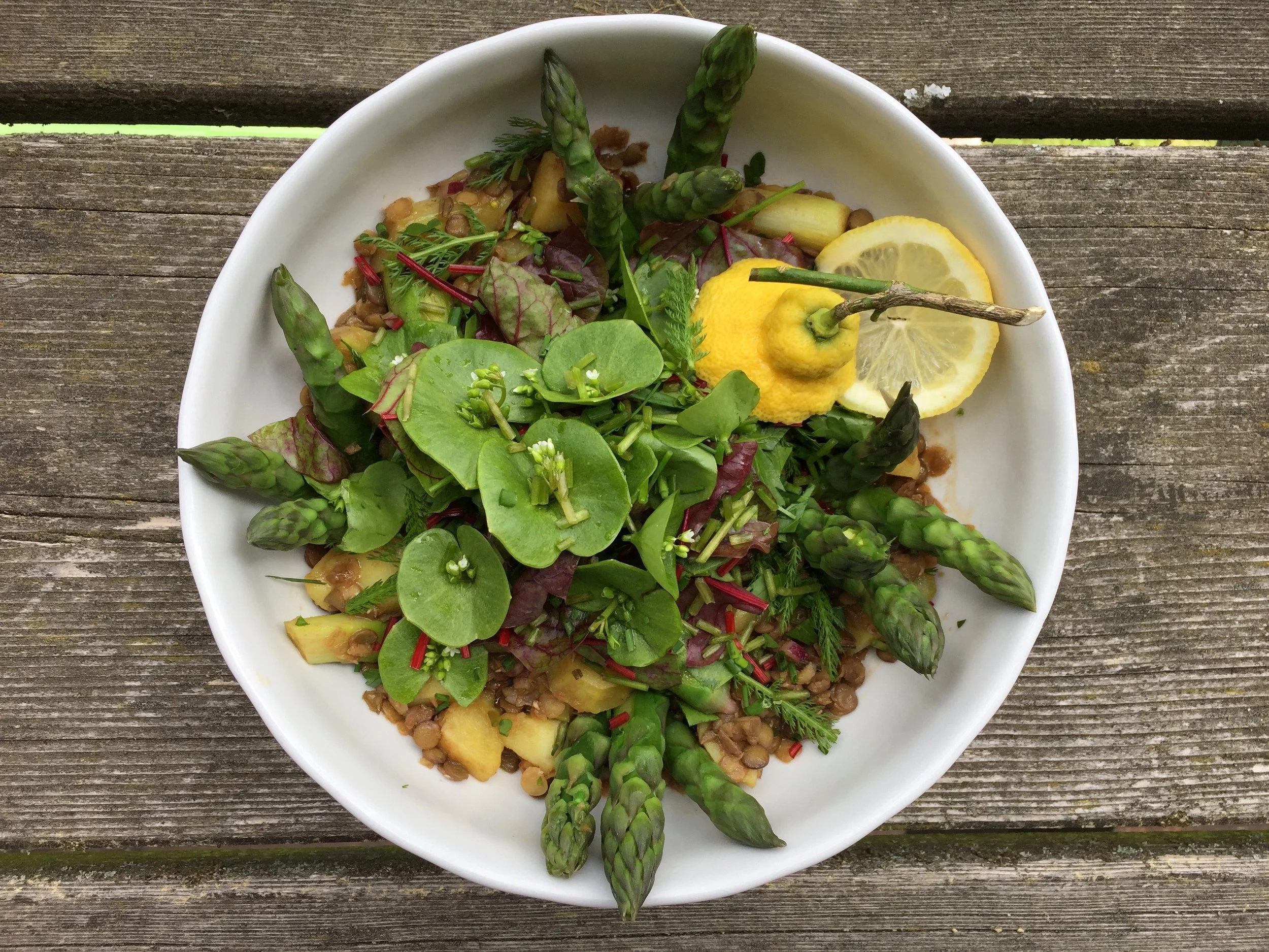 Linsen Spargel Salat_Nina Mandl TCM.jpg