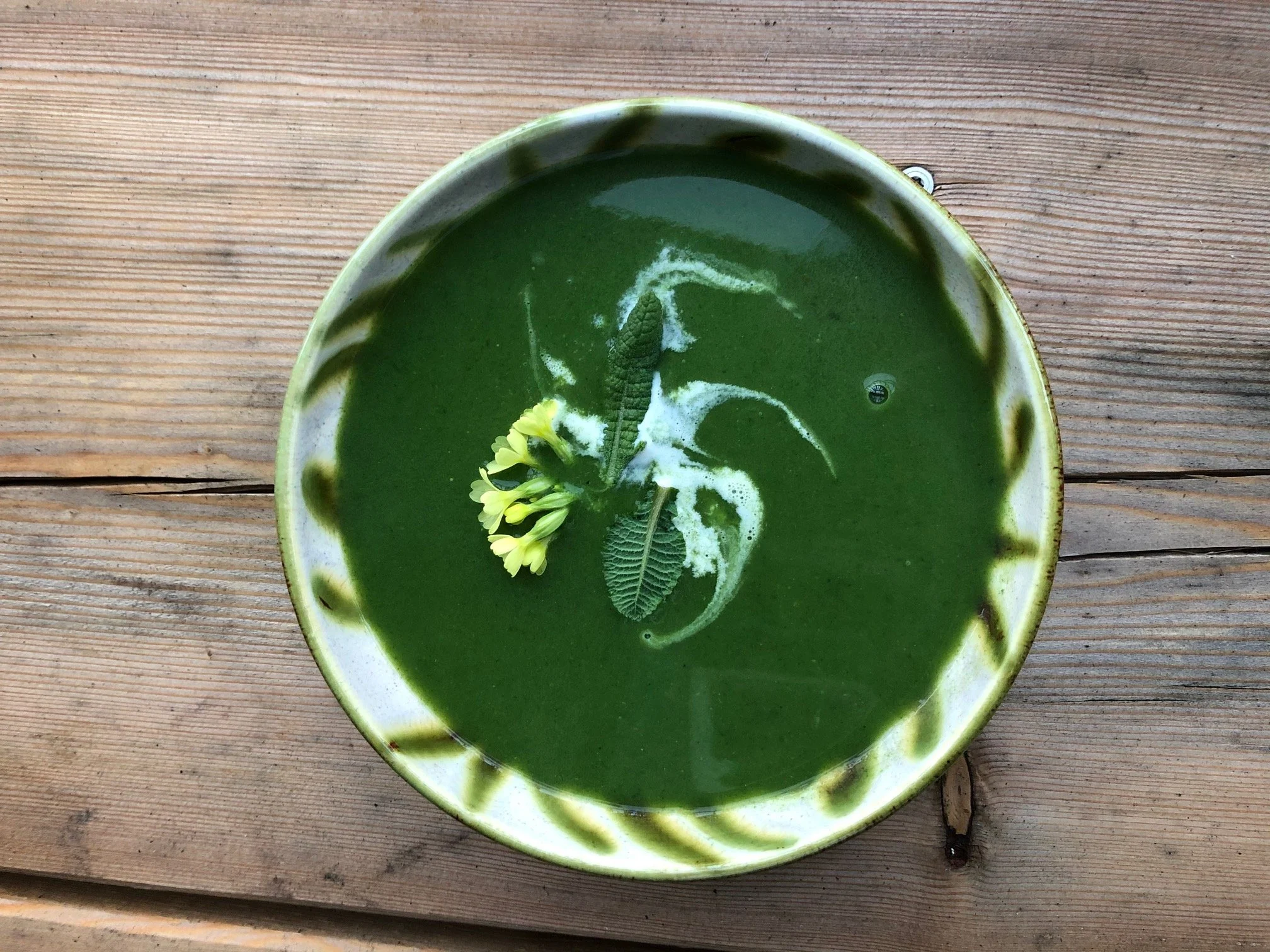 Brennnessel Löwenzahn Suppe_Nina Mandl TCM.jpg
