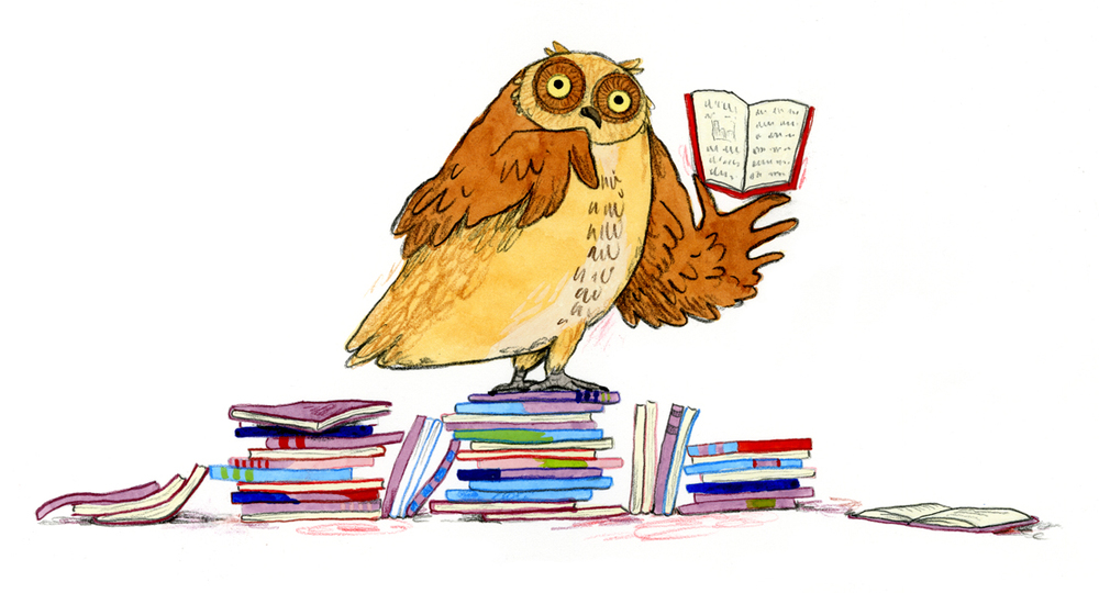 owl.jpg