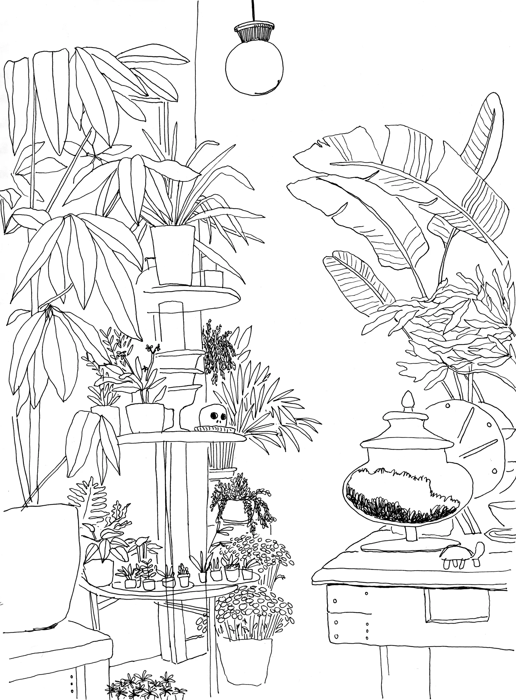 darling botanical001.jpg