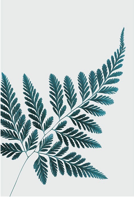 Affordable art prints to buy online - Petrol Fern poster at Desenio online retailer.