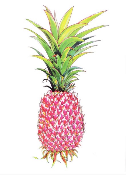 Affordable art prints to buy online - Pink Pineapple by Andy Macgregor at The Print Shop.