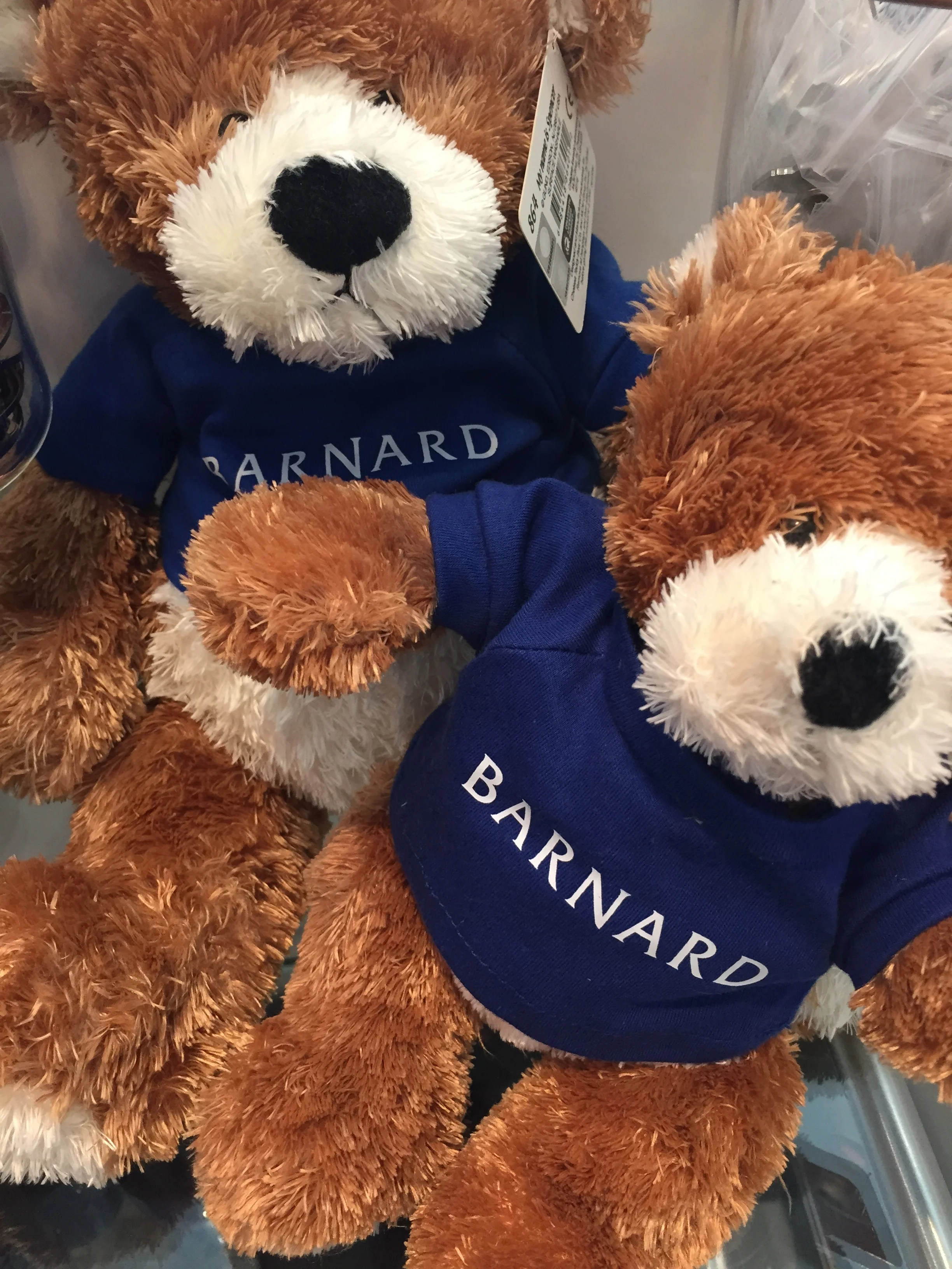 In-Depth Look: Barnard's Double Degree with JTS