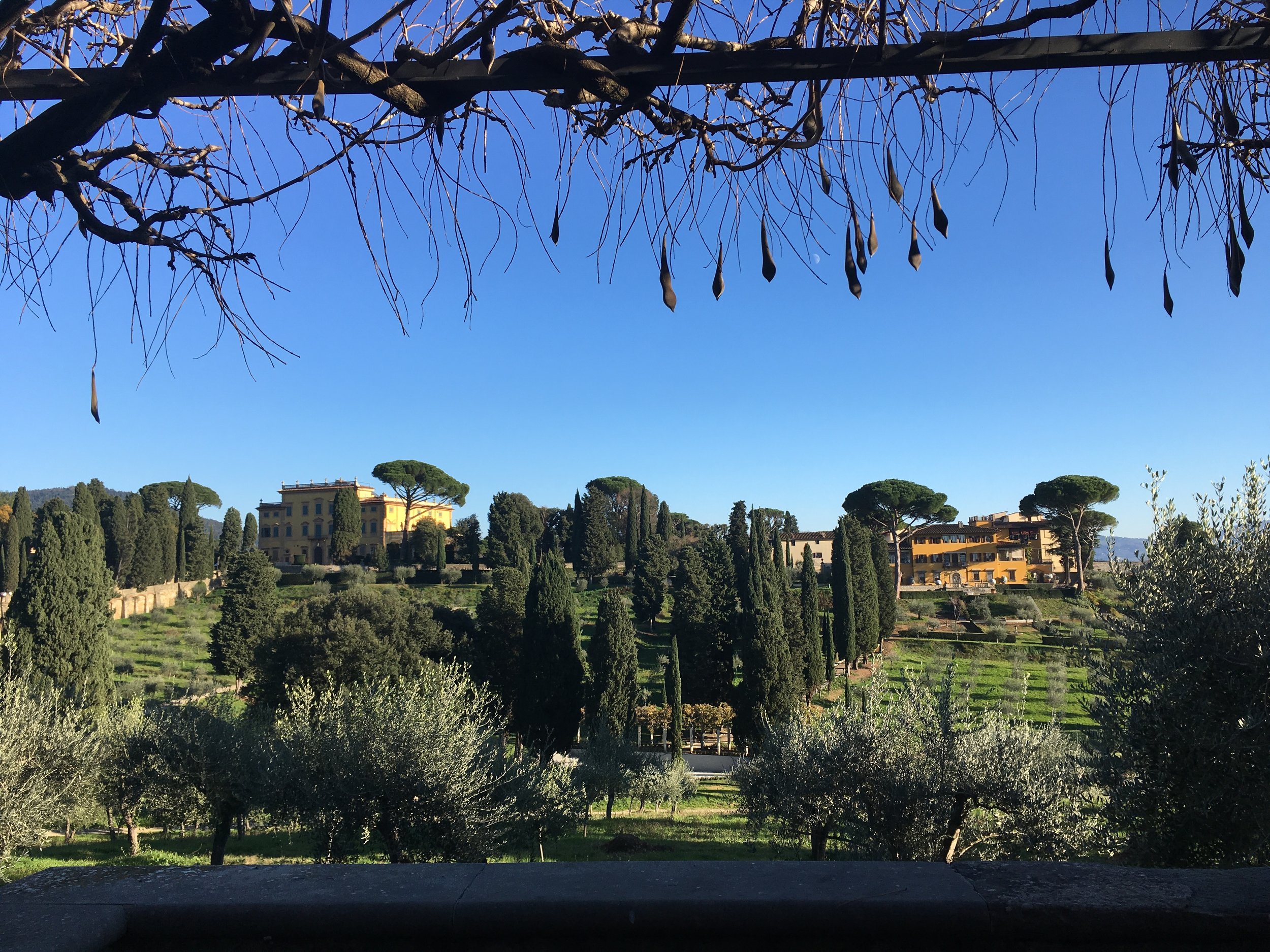 My campus in Italy