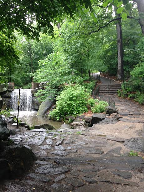 A picture from the "rock tour" through Central Park!