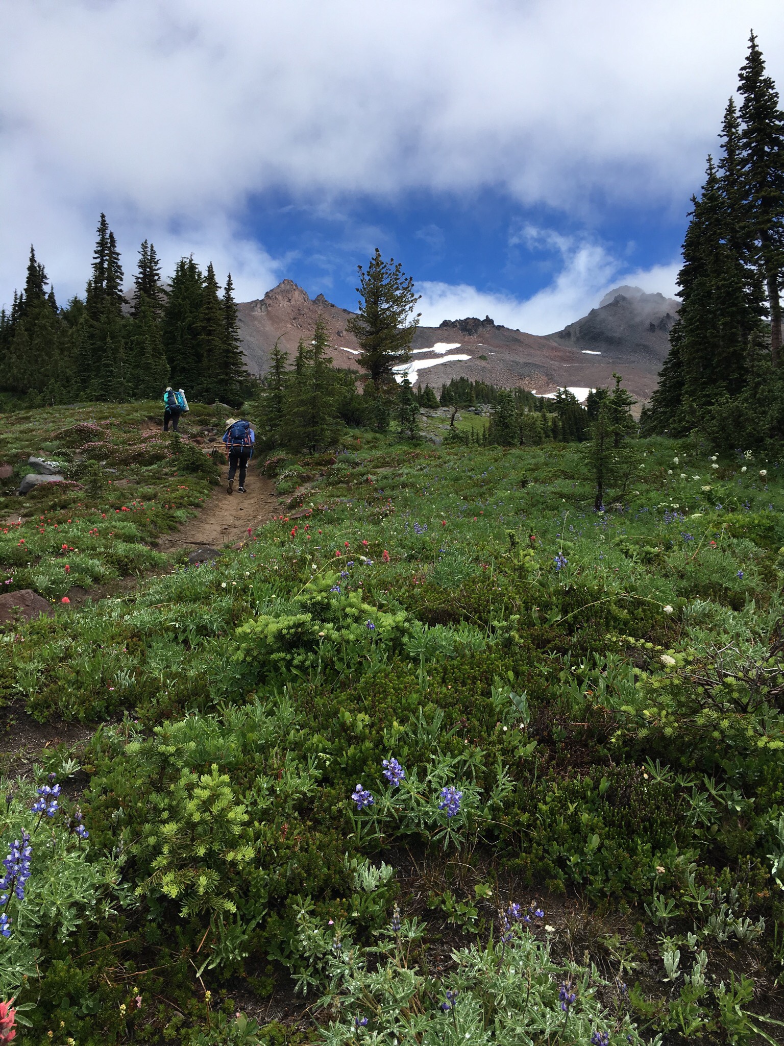 A picture Kris took whilst backpacking with some friends in Camas, Washington last summer. 
