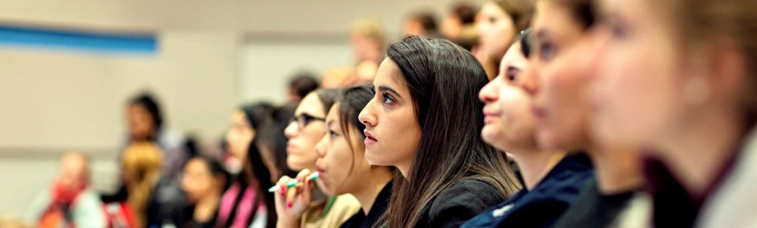 Our Favorite Classes This Semester 