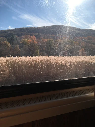 train2.jpg