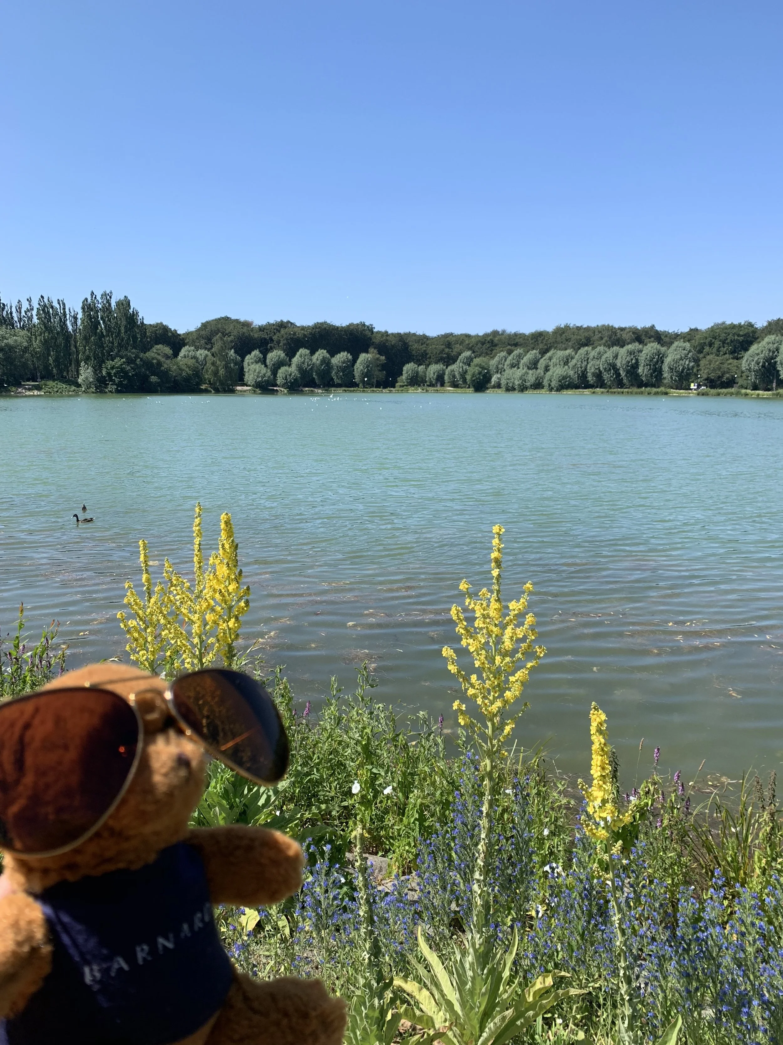 My Summer Abroad Reflections