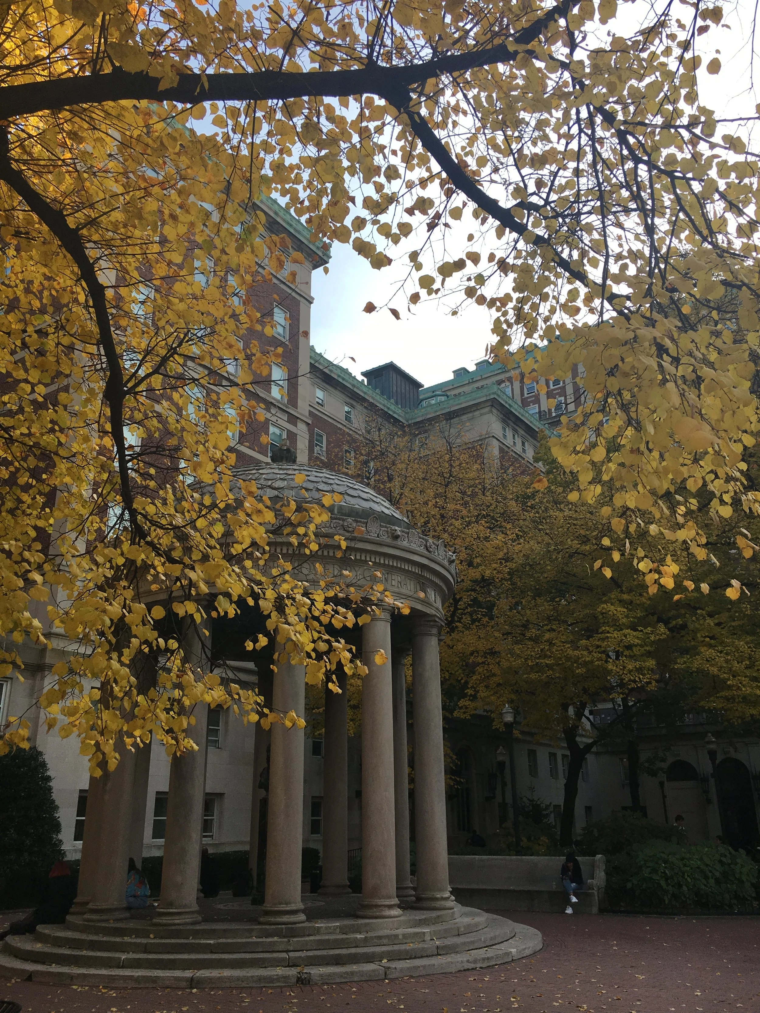 Things to Do in NYC in Autumn