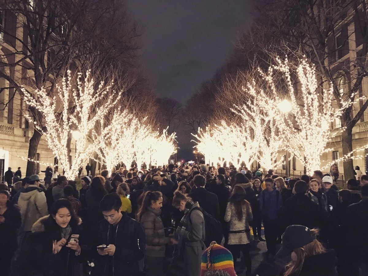 A Rookie Can Survive Winter Too