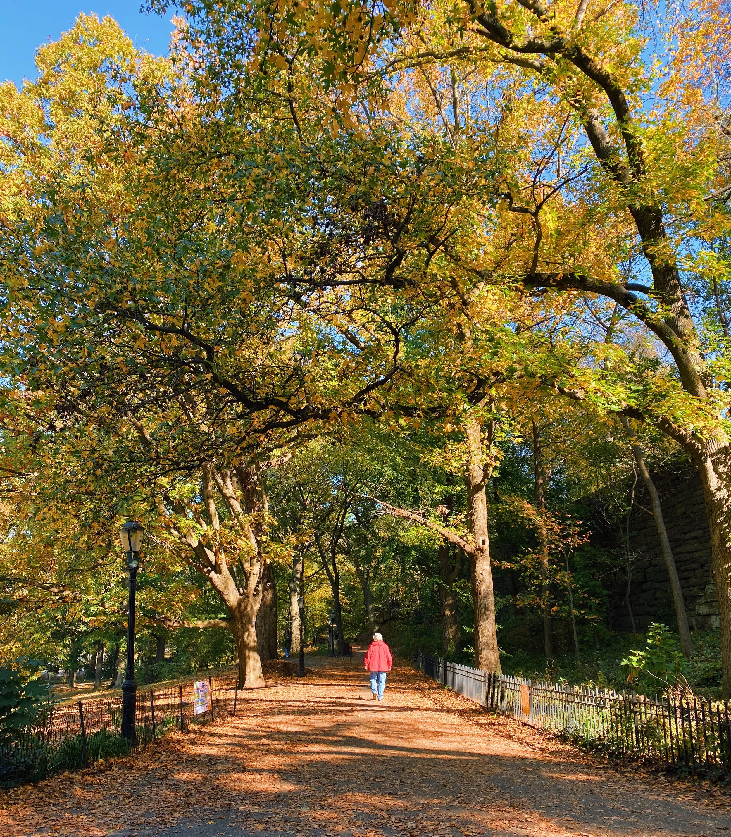 Finding Nature and Adventure at Barnard